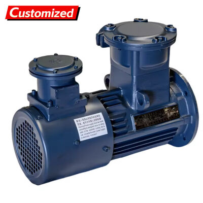 ราคาดี ป้องกันไฟ 5.5 ~ 11kW 750rpm มอเตอร์แบบไม่สมองสามเฟสที่มีความถี่ที่เปลี่ยนแปลงสําหรับการใช้งานในอุตสาหกรรม ออนไลน์